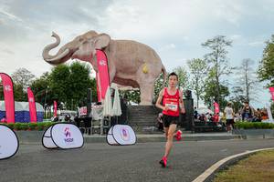 BIB: 
                            <button type="button" onclick="openModal(26528707)" class="btn btn-primary btn-sm float-right btn-popup" data-toggle="modal" data-target=".modal-high-quality">
                        <i class="fas fa-shopping-cart"></i> Add to Cart
                    </button>
                                            <button type="button" onclick="isThisMe(26528707, true)" class="btn btn-success btn-sm float-right btn-popup btn-isme hidden" data-toggle="tooltip" data-placement="bottom" title="นี่คือรูปของคุณใช่ไหม คลิกที่นี่เพื่อเอาเข้าอัลบั้ม">
                        <i class="fas fa-plus"></i> Add to album
                    </button>
                    <button type="button" onclick="isThisMe(26528707, false)" class="btn btn-warning btn-sm float-right btn-popup btn-isnotme hidden">
                        <i class="fas fa-ban"></i> Remove from album
                    </button>